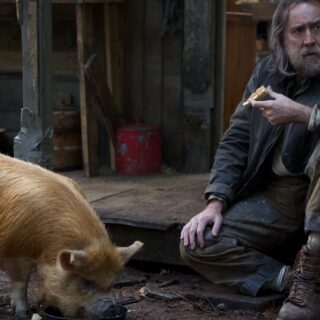 pig_cage