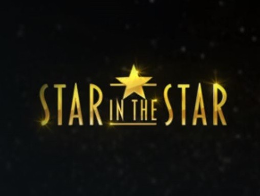 Star in the Star, Loredana Berté vince (e sotto la maschera c’era Syria): ecco tutte le identità