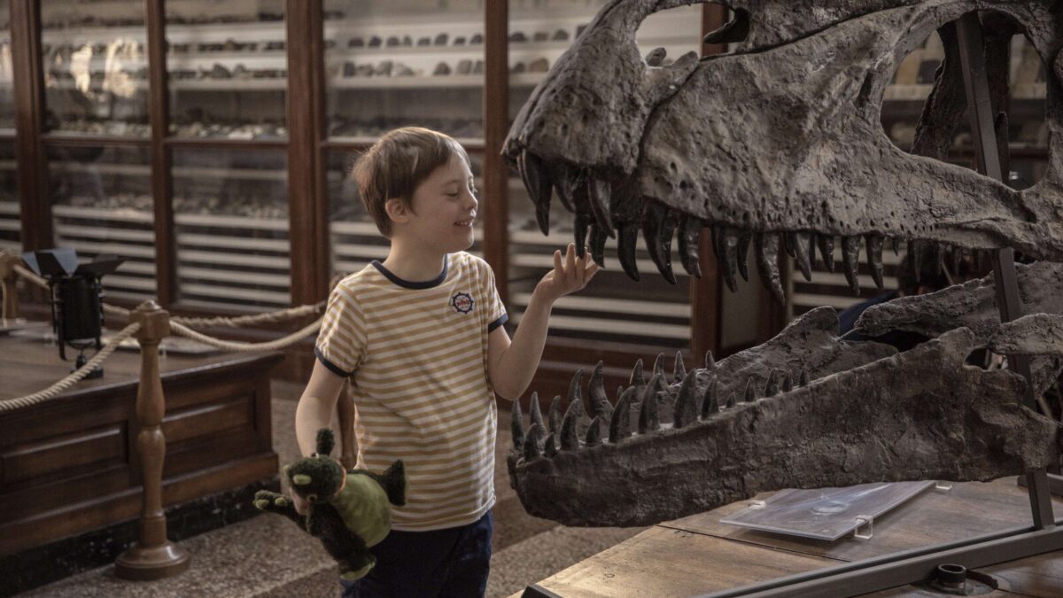 Stasera in tv: “Mio fratello rincorre i dinosauri” su Rai 1