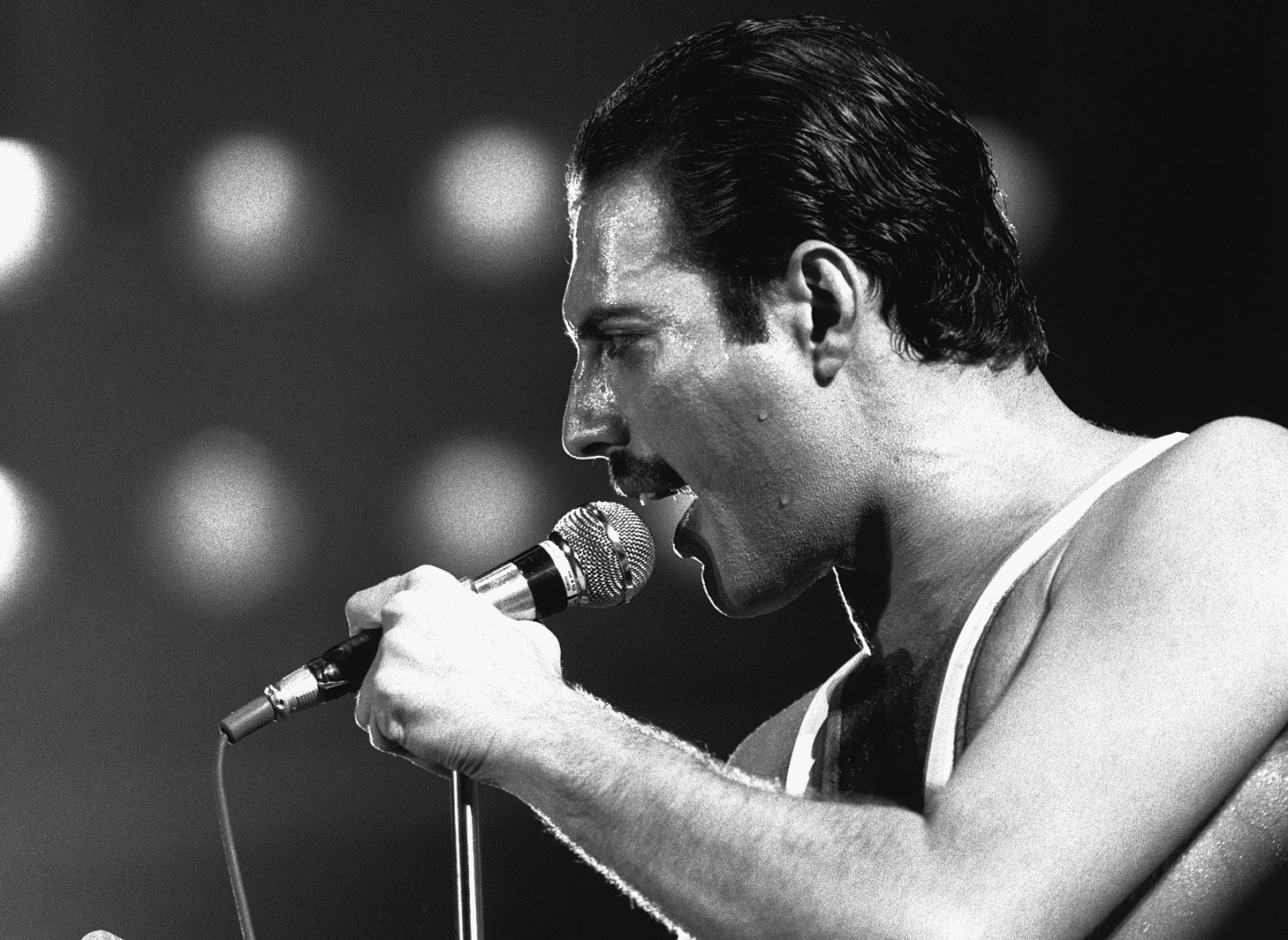 Freddie Mercury, il 24 novembre 1991 moriva il leader dei Queen: gli ultimi giorni di vita del cantante