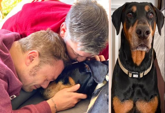 Tiziano Ferro e il marito Victor piangono la morte del loro cane Jake: “Salutaci Beau e sappi che non ti dimenticheremo mai”