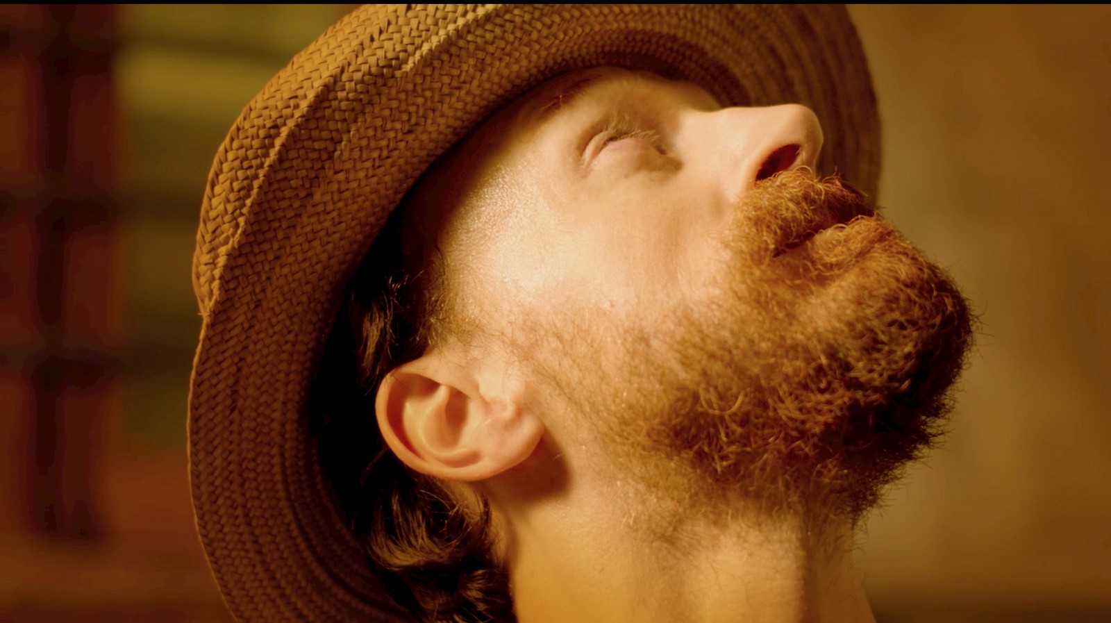 Van Gogh – I Girasoli: nuove clip in italiano del docufilm evento al cinema (17-19 gennaio)