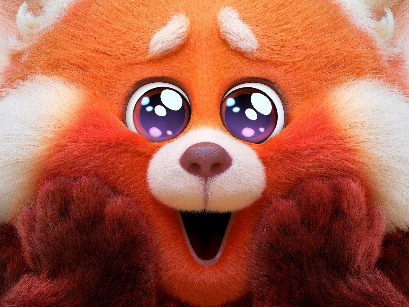 Red: foto e poster del nuovo film d’animazione Pixar