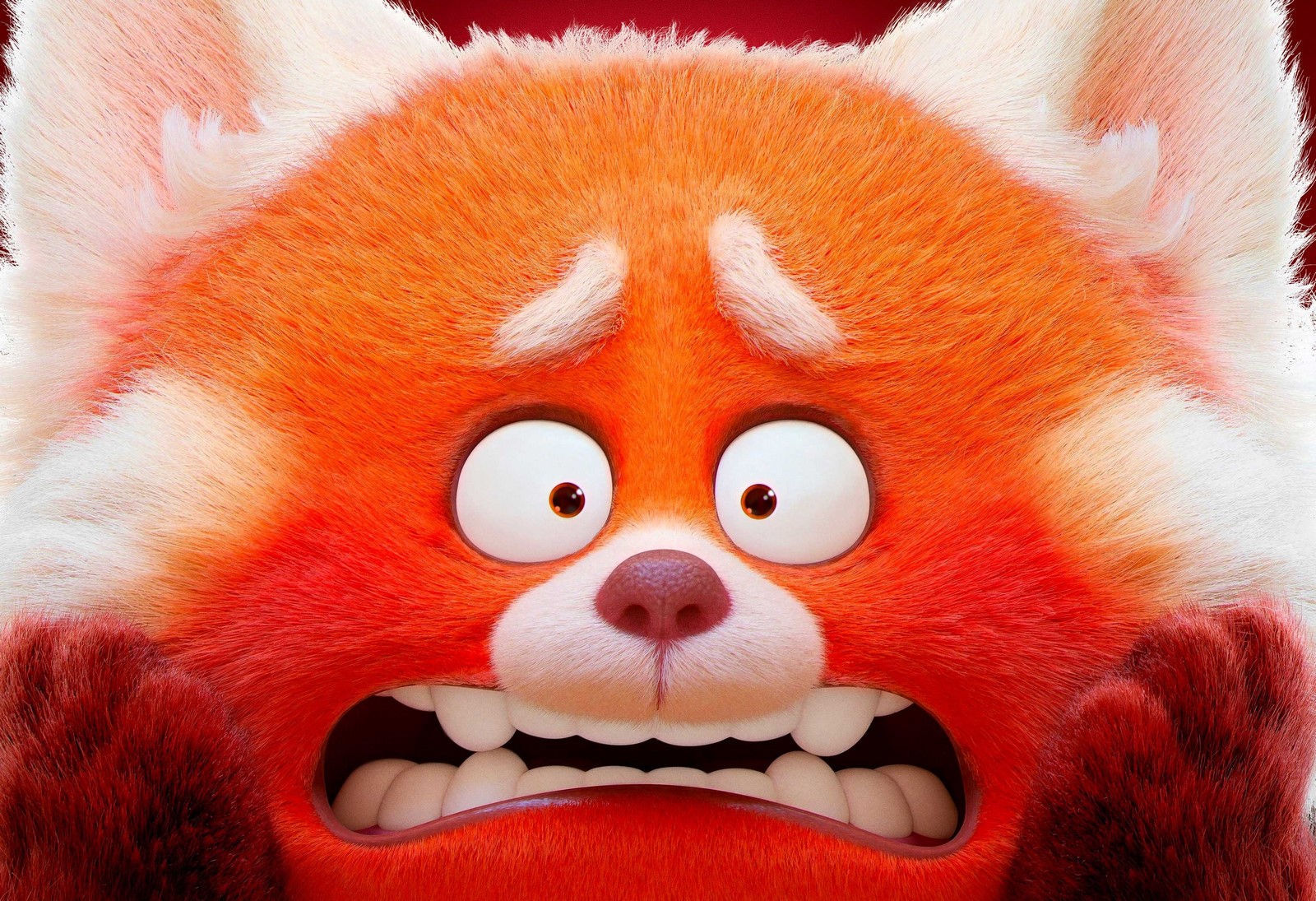 Red: nuovo trailer italiano per l’adorabile film d’animazione Pixar disponibile al cinema dal 7 marzo 2024