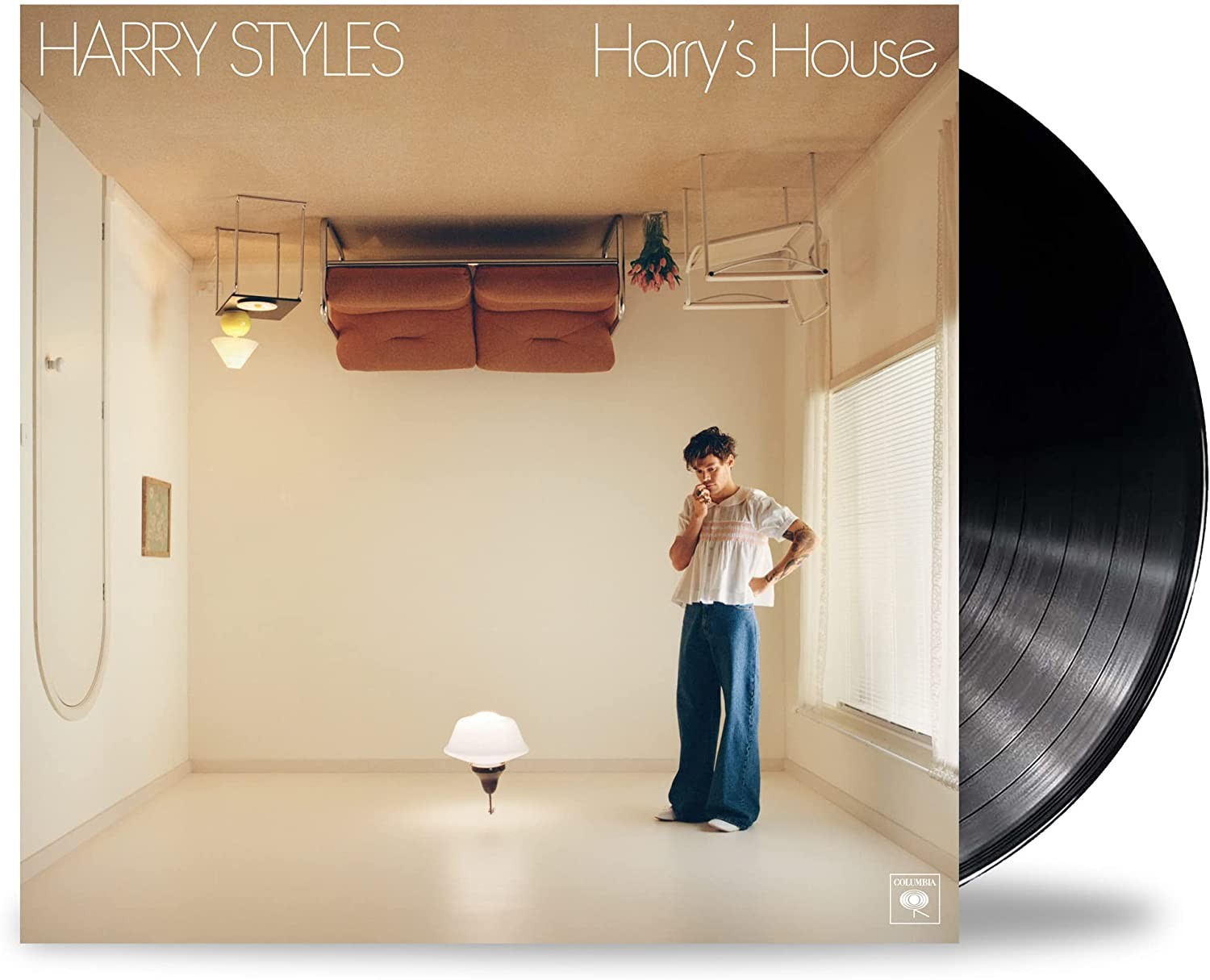 Harry Styles Vinile