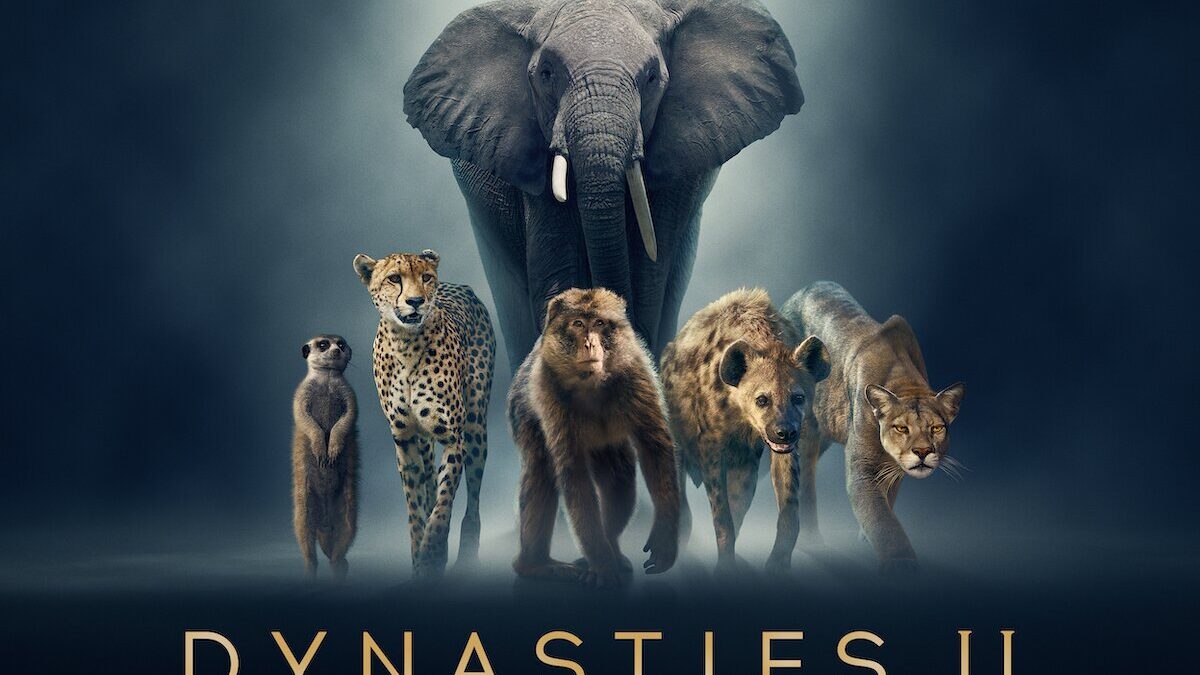 Dynasties 2, i documentari Bbc su Rete 4: anticipazioni ultima puntata
