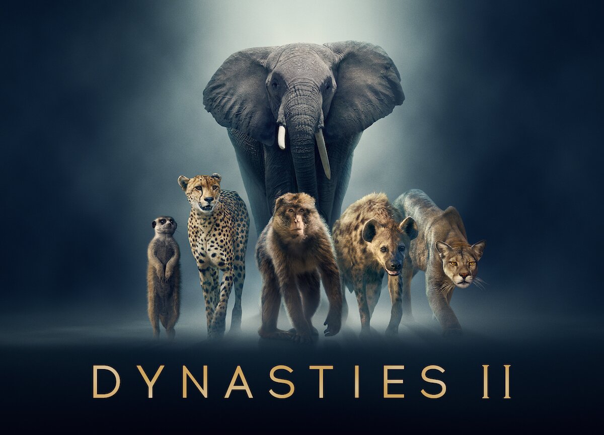 Dynasties 2, i documentari Bbc su Rete 4: anticipazioni ultima puntata