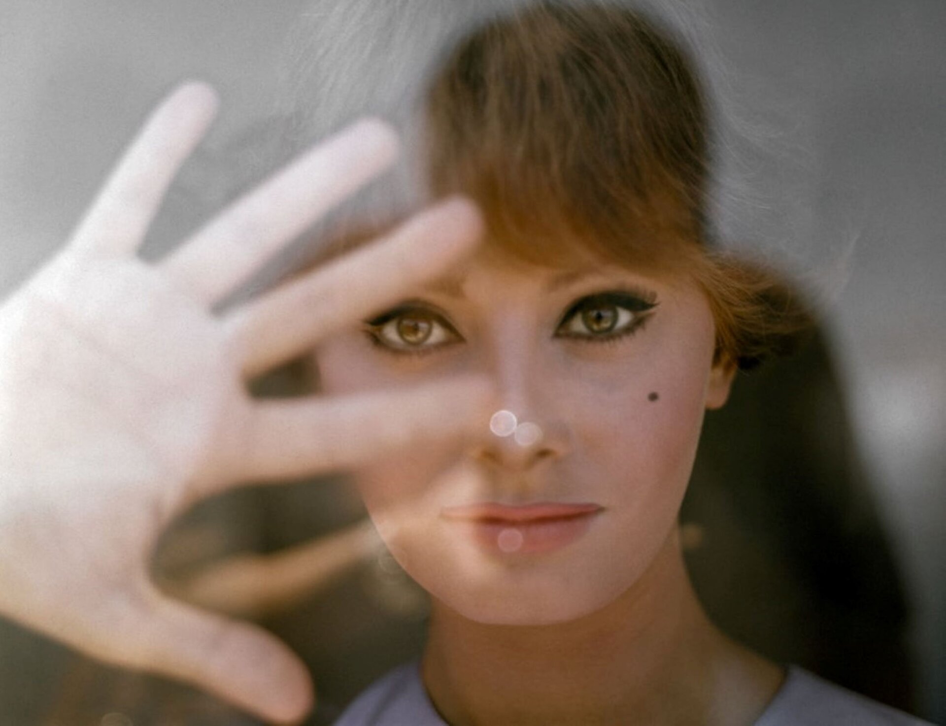 Sophia Loren, Rai 1 le dedica una prima serata in occasione dei suoi 88 anni con un documentario