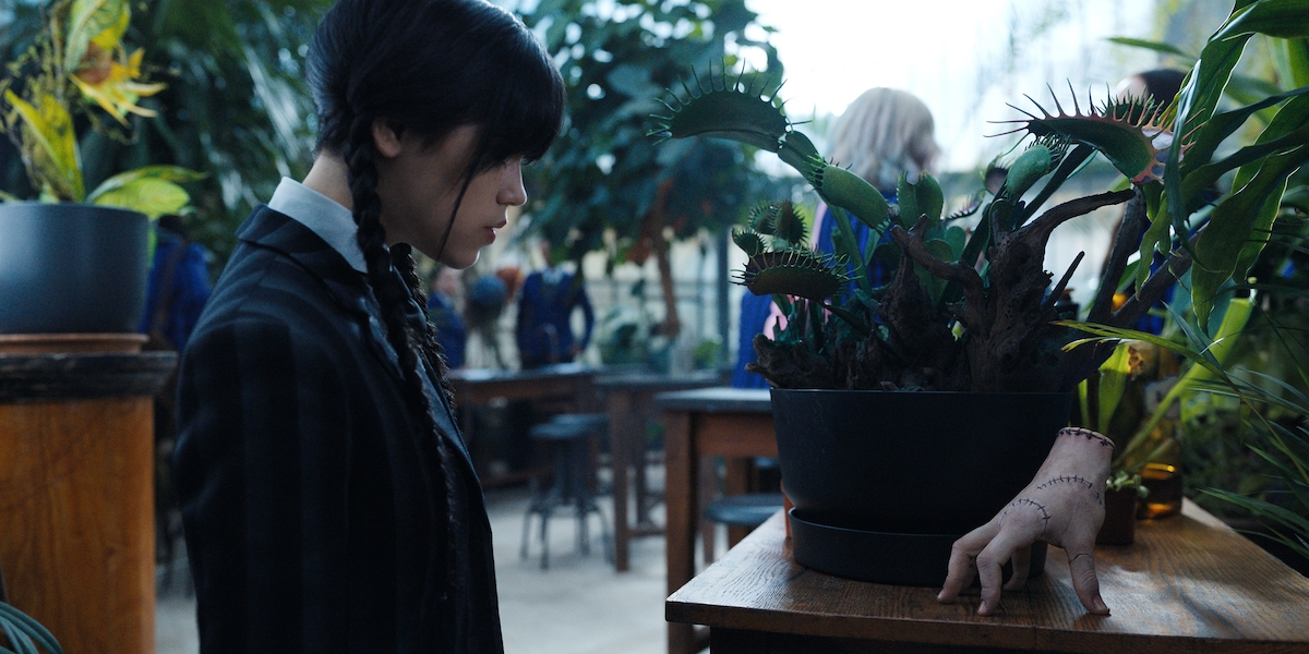Mercoledì, serie tv Netflix: cast, trama, puntate, location e come vederlo in streaming