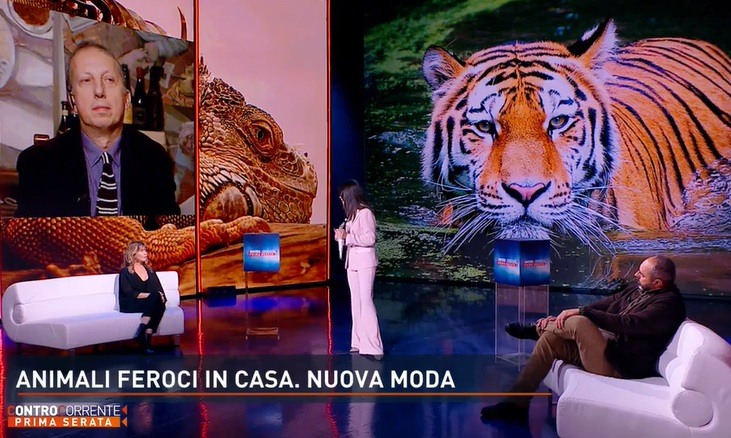 Controcorrente non si ferma a Natale. Veronica Gentili cede il testimone ad Alessandra Viero (Anteprima TvBlog)
