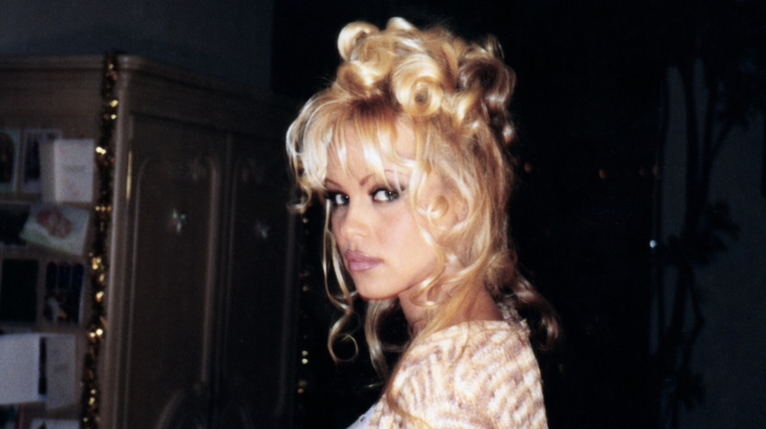 Pamela Anderson Netflix
