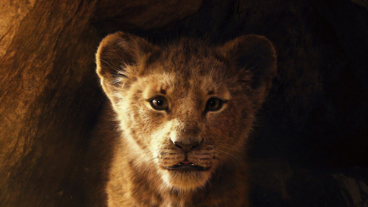 Stasera in tv: il remake live-action “Il re leone” Disney su Rai 1