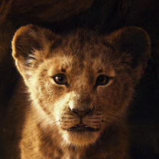 Stasera in tv il remake live-action Il re leone Disney su Rai 1 (2)