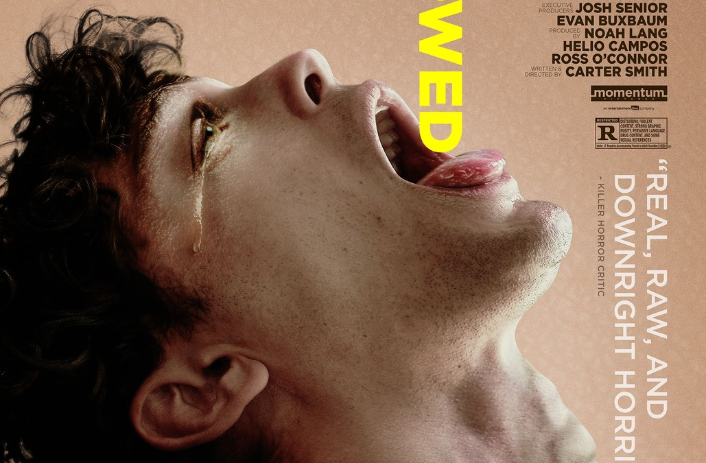 Swallowed: trailer e anticipazioni del disturbante body horror queer con Jena Malone