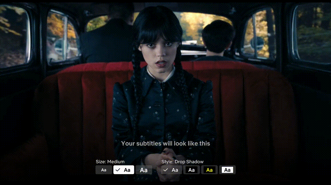 Netflix sottotitoli