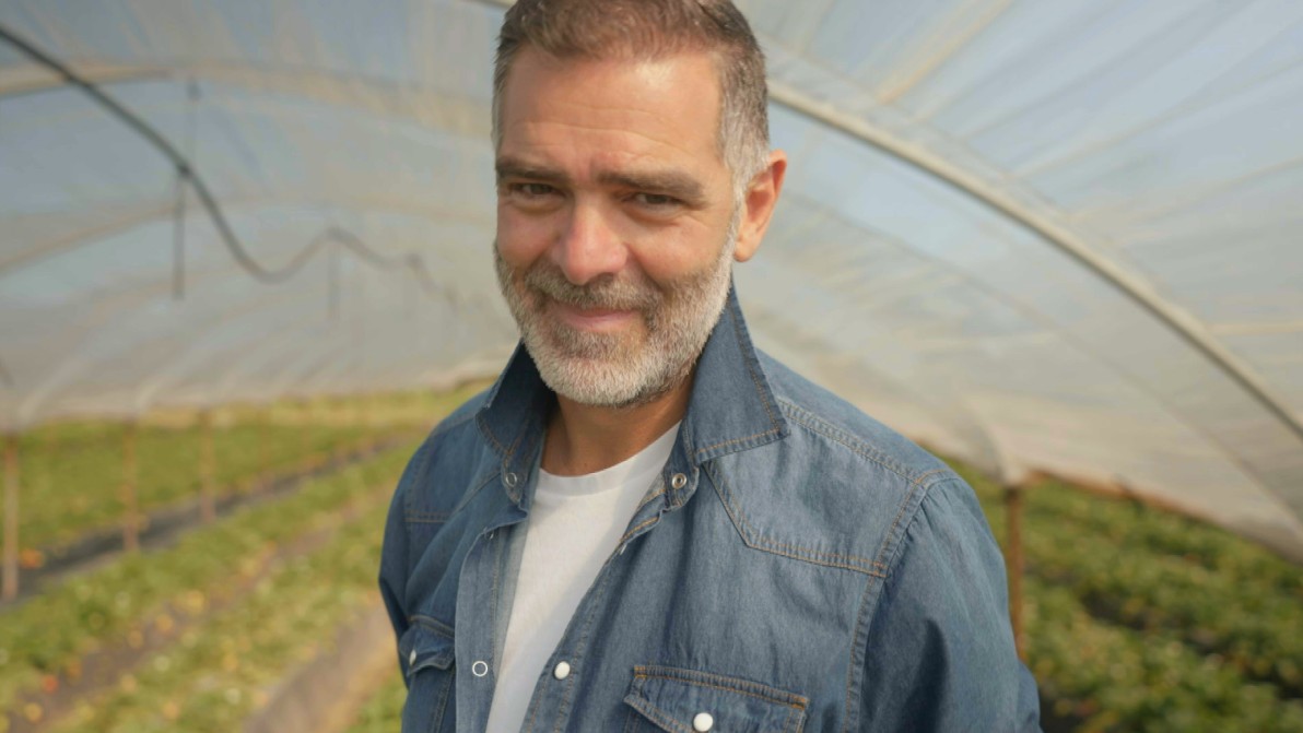 Alfonso contadino