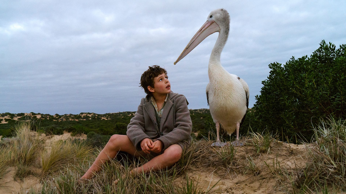 Stasera in tv: “Storm Boy – il ragazzo che sapeva volare” su Canale 5