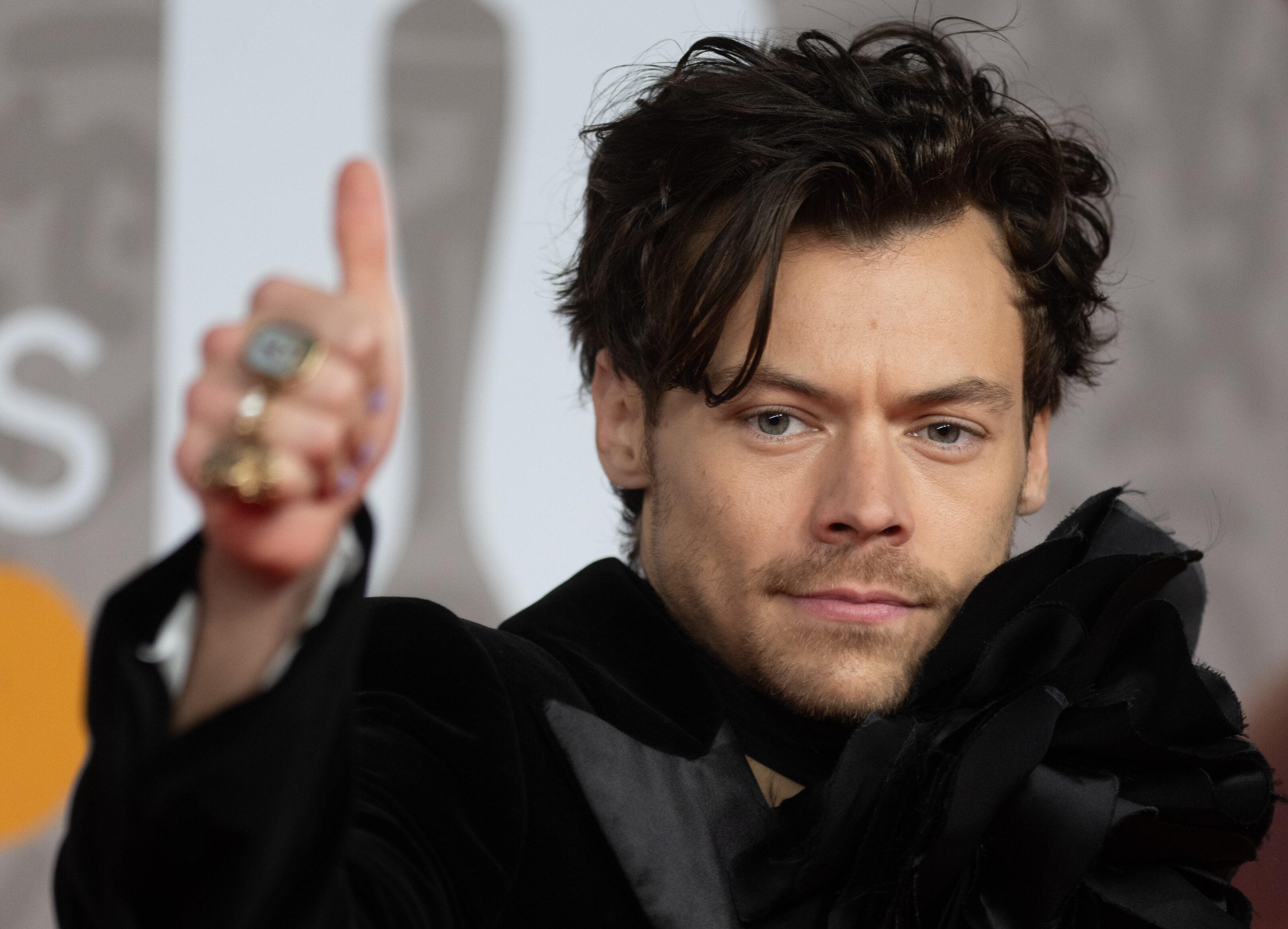 Harry Styles a Campovolo in concerto: persone in tenda da giorni ed elenco delle regole da rispettare (?)