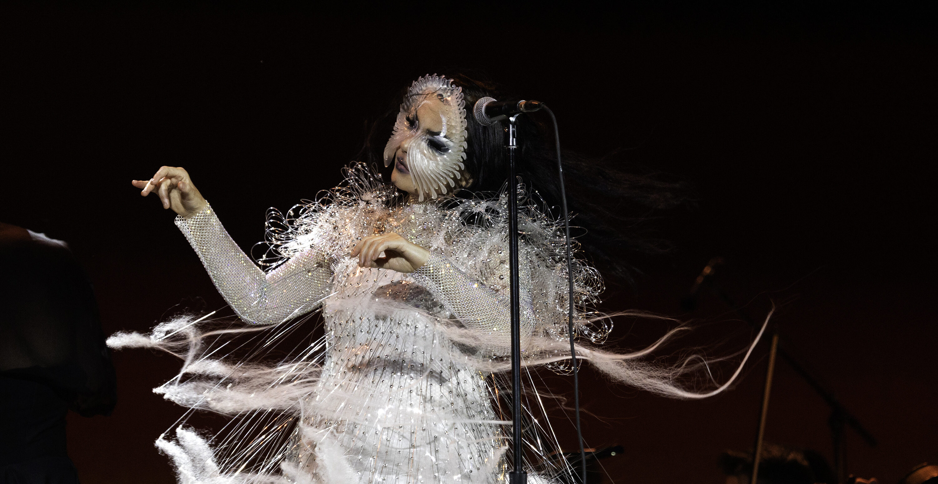 Bjork, Bologna, 23 settembre 2023: la scaletta del concerto, orario e info biglietti