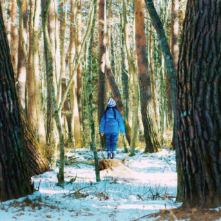 Venezia 80, Evil Does Not Exis clip, foto e trama del film di Ryusuke Hamaguchi (1)