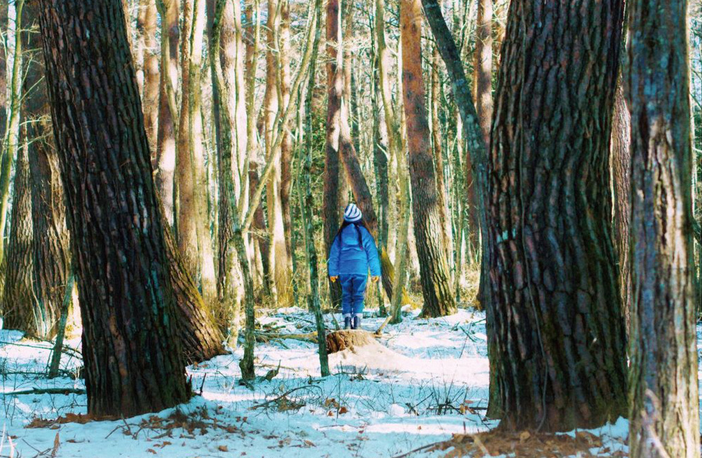 Venezia 80, Evil Does Not Exist: clip, foto e trama del film di Ryusuke Hamaguchi