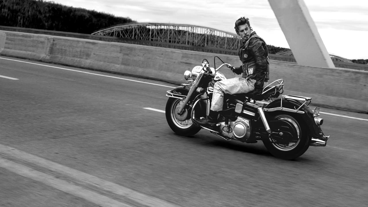 The Bikeriders 