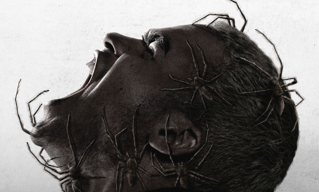 Vermin – Infested: trailer dell’horror francese con ragni killer di Sébastien Vanicek