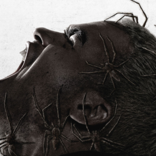 ‘horror francese con ragni killer di Sébastien Vanicek