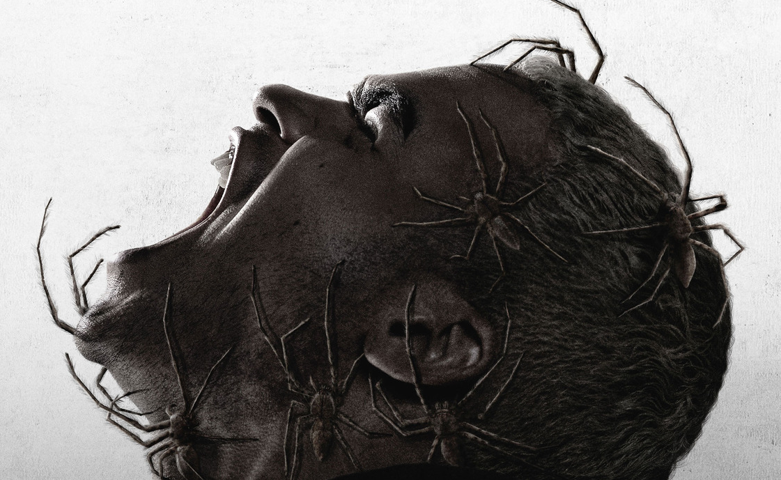 Vermin – Infested: trailer dell’horror francese con ragni killer di Sébastien Vanicek