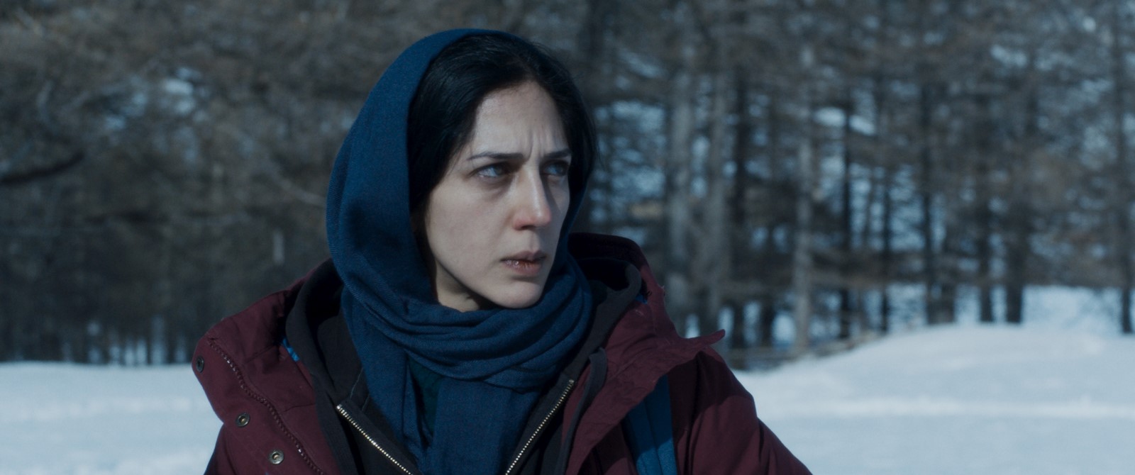 Sopravvissuti: trailer in italiano del thriller con Denis Ménochet e Zar Amir Ebrahimi (Al cinema dal 21 marzo)