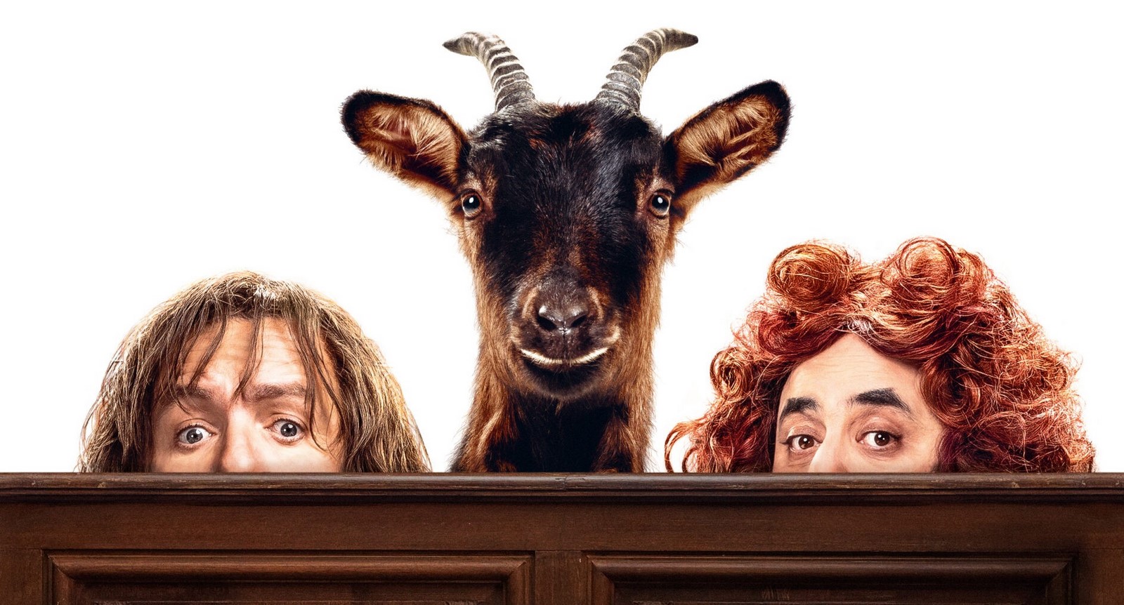Il Caso Josette: trailer italiano della commedia di Fred Cavayé con Dany Boon (Al cinema dal 24 aprile)