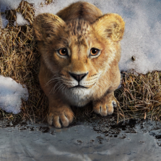 Nei cinema italiani con Disney il prequel live-action Mufasa: Il Re Leone diretto da Barry Jenkins, con le voci di Beyoncé, Mads Mikkelsen e Seth Rogen.