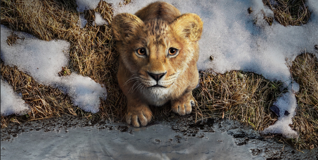 Mufasa: Il Re Leone – trailer italiano del prequel live-action di Disney (Al cinema dal 19 dicembre)