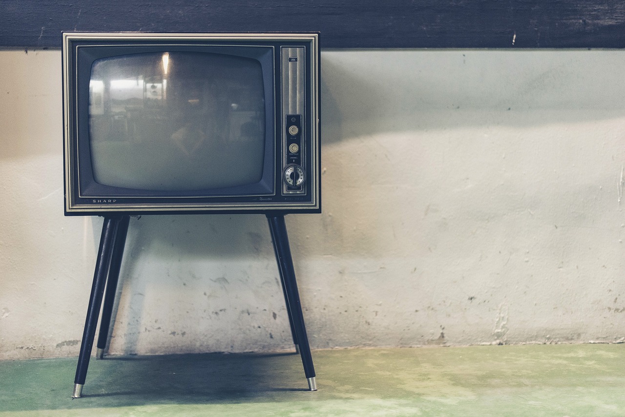 Ascolti Tv Total Audience domenica 29 dicembre 2024