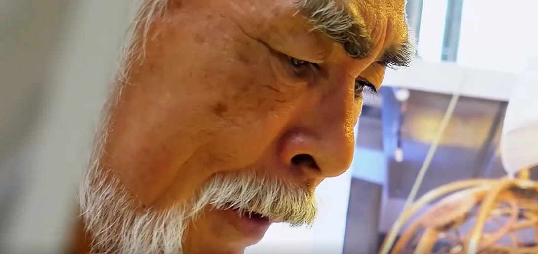 Presentato a Cannes 77 il documentario Hayao Miyazaki and the Heron del regista Kaku Arakawa sulla realizzazione dell'anime premio Oscar "Il ragazzo e l'airone".