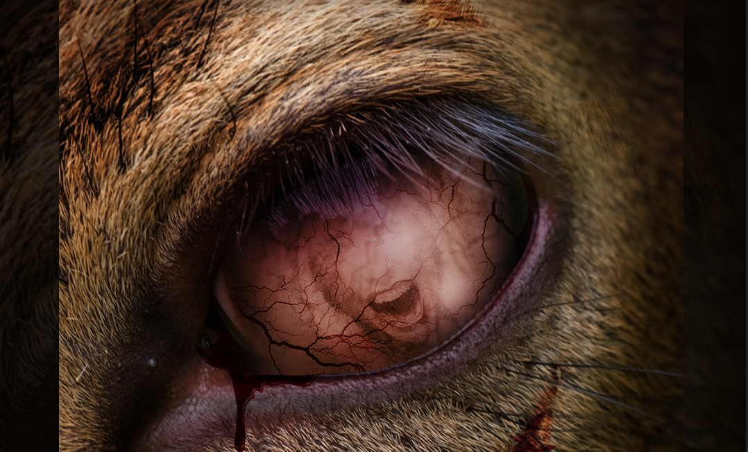 Il team di registi dietro allo slasher "Winnie the Pooh: Sangue e Miele" stanno allestendo l'universo horror basato su celebri fiabe che sfocerà nel crossover "Poohniverse: Monsters Assemble"