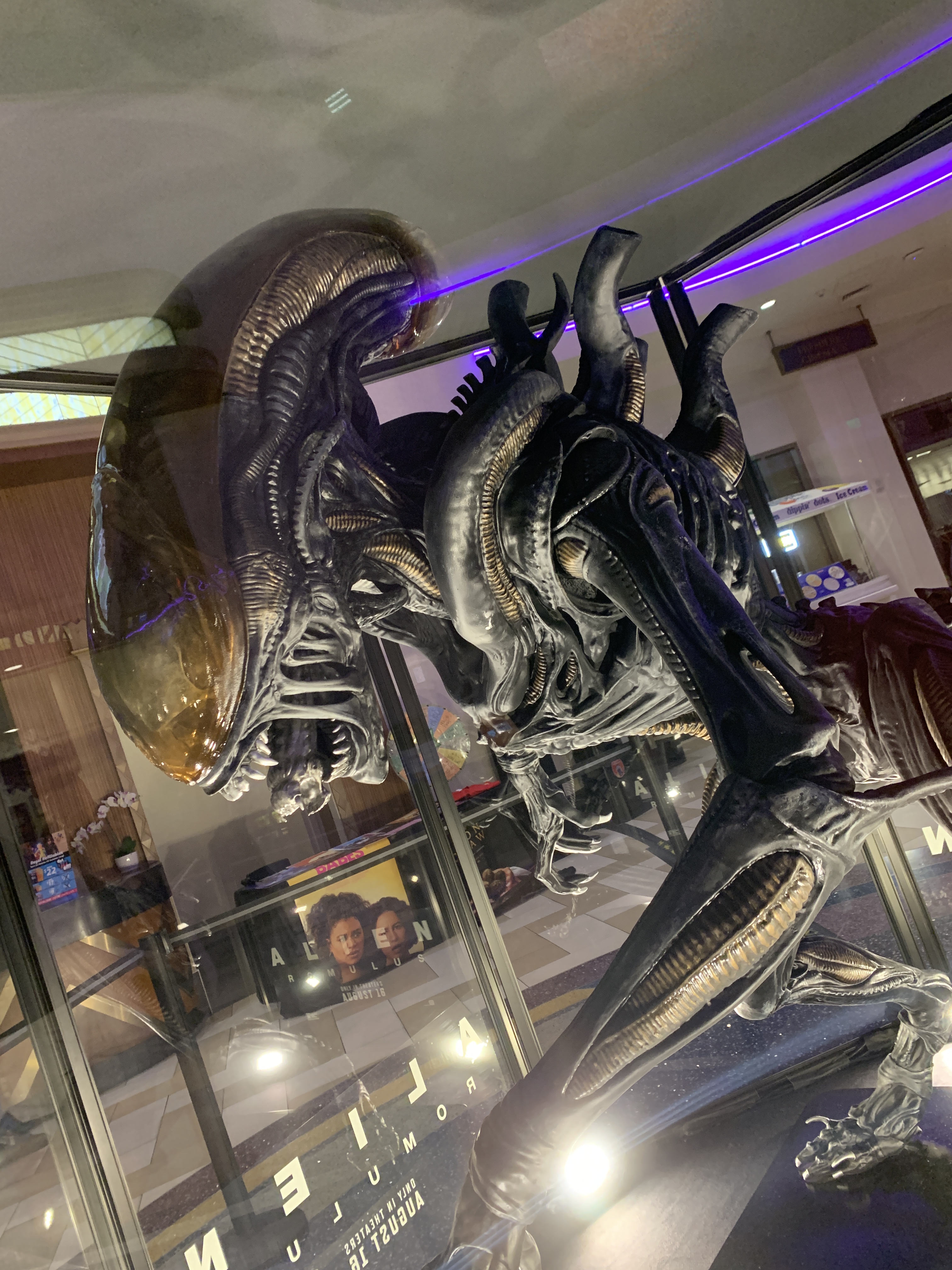 Tutto quello che c'è da sapere su "Alien: Romulus", il nuovo film di Fede Alvarez con Cailee Spaeny e Isabela Merced - Al cinema dal 14 agosto con 20th Century Studios.