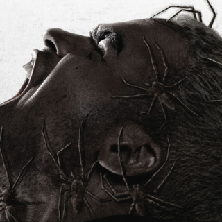 Dalla Francia un terrificante survival-horror con ragni killer del regista esordiente Sébastien Vanicek - Disponibile in home-video dal 17 luglio con Plaion Pictures e Midnight Factory.