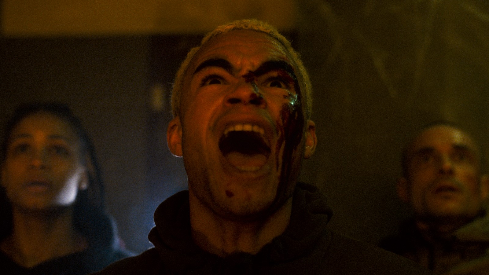 Dalla Francia un terrificante survival-horror con ragni killer del regista esordiente Sébastien Vanicek - Disponibile in home-video dal 17 luglio con Plaion Pictures e Midnight Factory.