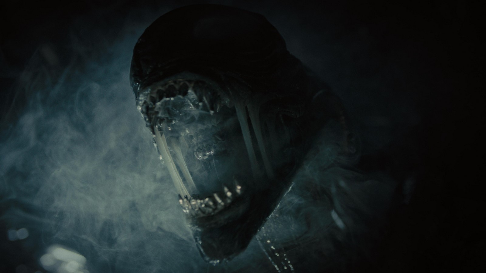 Recensione e tutto quello che c'è da sapere sul "Alien: Romulus", il nuovo capitolo della saga sull'iconico Xenomorfo di Fede Alvarez con Cailee Spaeny e Isabela Merced.