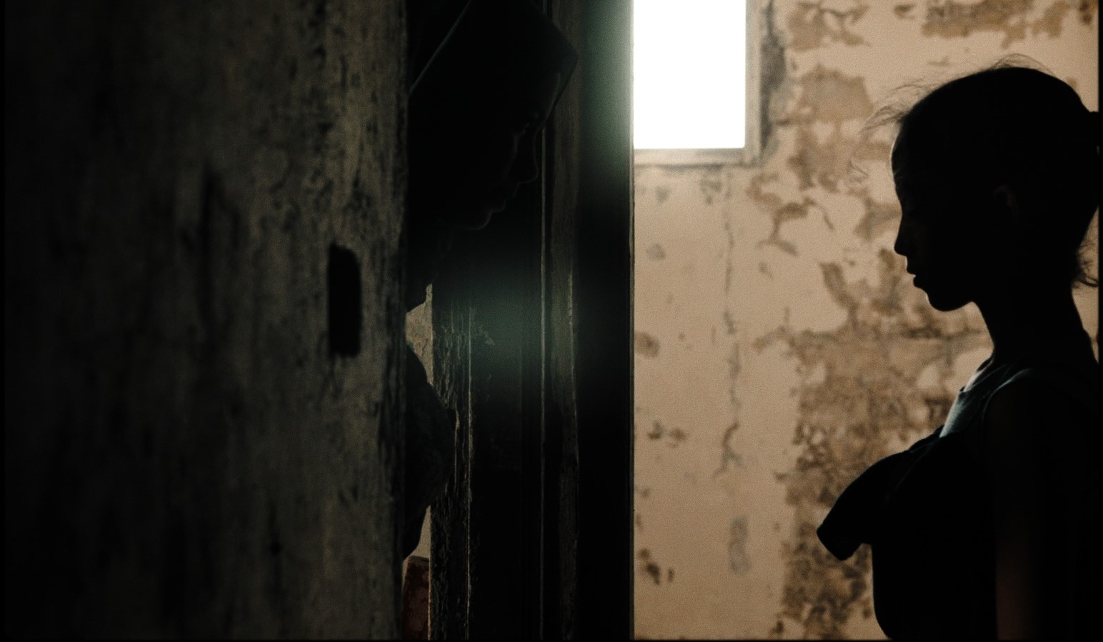 Disponibili i trailer di alcuni dei film in Concorso e Fuori concorso a Venezia 81 - Tra i titoli il nuovo film di Gianni Amelio, la dark-comedy ospedaliera con Carlo Buccirosso e il dramma sulla mafia con Toni Servillo e Elio Germano.