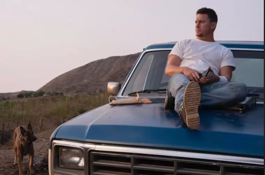 Su Canale 5 "Io e Lulù", il film diretto e interpretato da Channin Tatum e ispirato al vero ultimo viaggio dell'attore con la sua cagnolina malata.