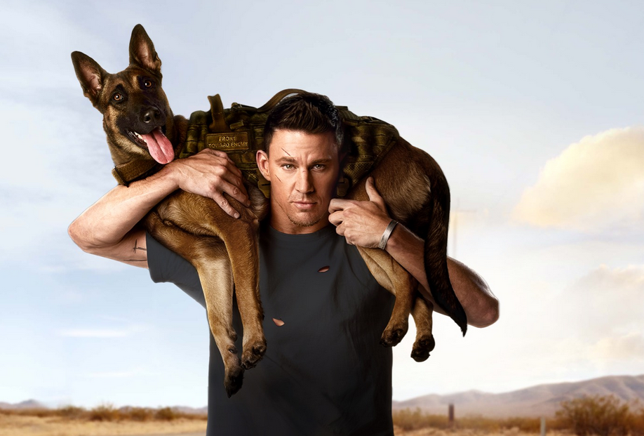 Su Canale 5 "Io e Lulù", il film diretto e interpretato da Channin Tatum e ispirato al vero ultimo viaggio dell'attore con la sua cagnolina malata.