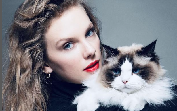 Kamala Harris, arriva il sostegno pubblico di Taylor Swift (con la geniale firma ‘Gattara’ senza figli)
