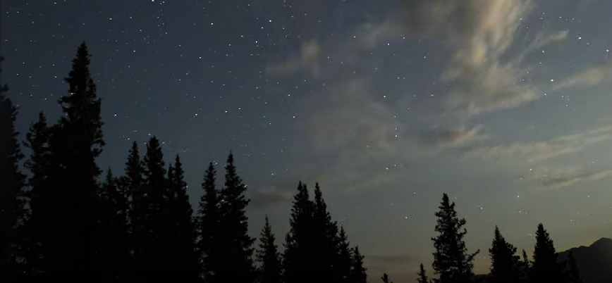 The Forest Is The Path, Snow Patrol: testo, traduzione in italiano e significato della canzone