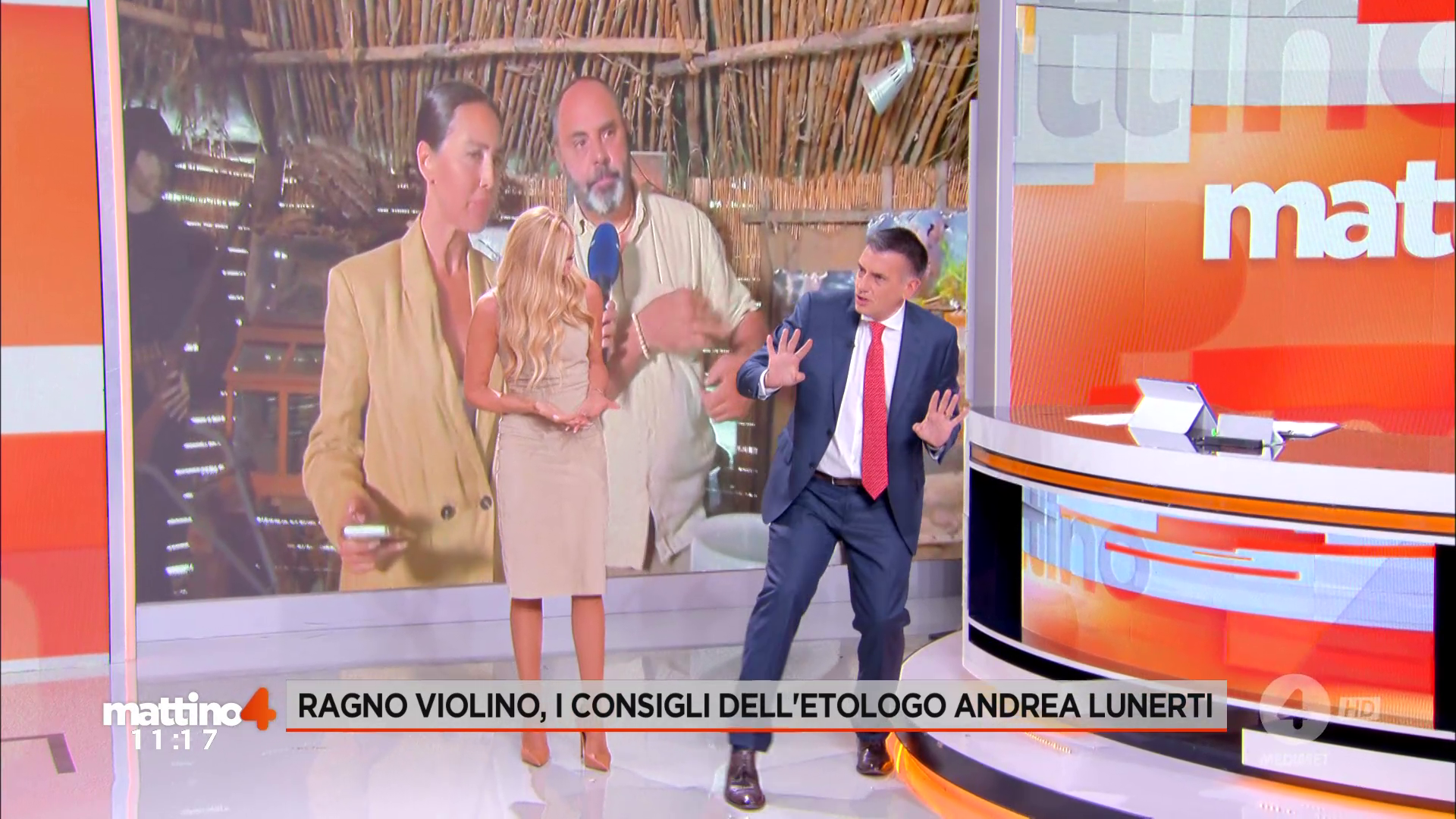 Mattino 4