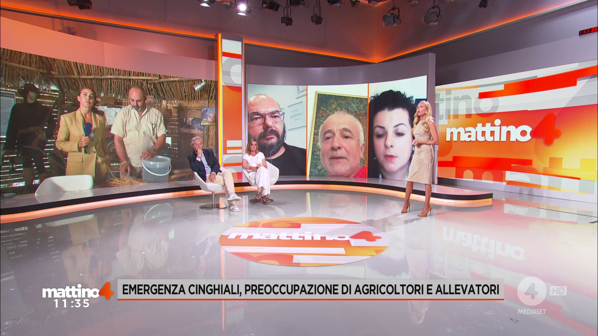 Mattino 4