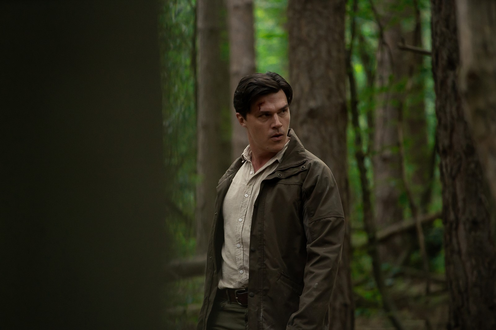 Recensione e tutto quello che c'è da sapere su "Don't Move", il film thriller diretto da Adam Schindler & Brian Netto, prodotto da Sam Raimi e interpretato da Kelsey Asbille e Finn Wittrock.