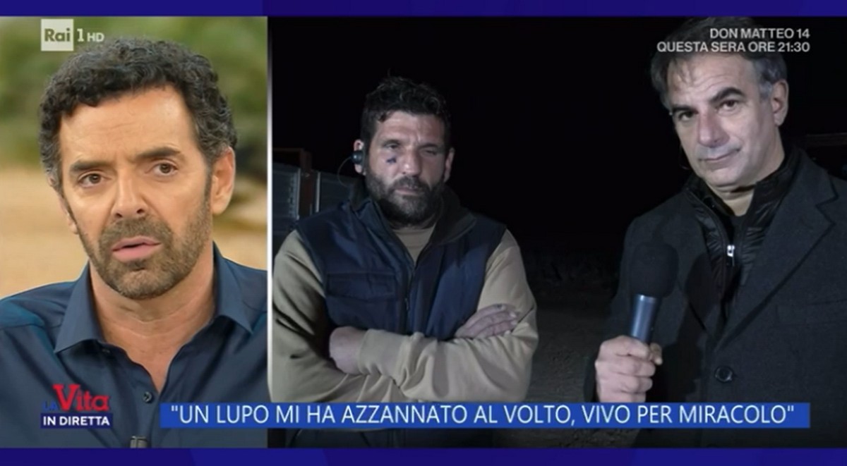 Alberto Matano, gaffe a La Vita in diretta: “In bocca al lupo!” ad un uomo azzannato da un lupo…