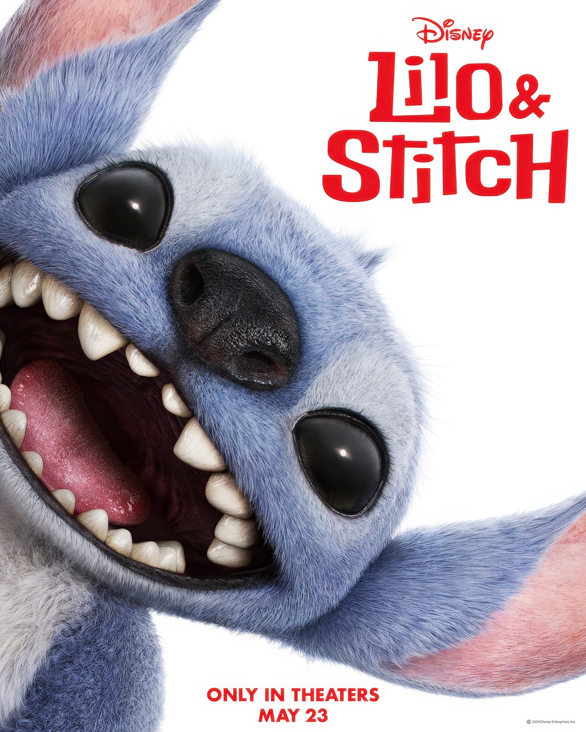 Trailer e tutto quello che c'è da sapere su "Lilo & Stitch", il remake live-action di Dean Fleischer Camp nei cinema italiani con Disney dal 21 maggio 2025.